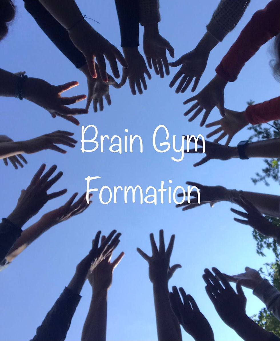 Brain Gym 1&2