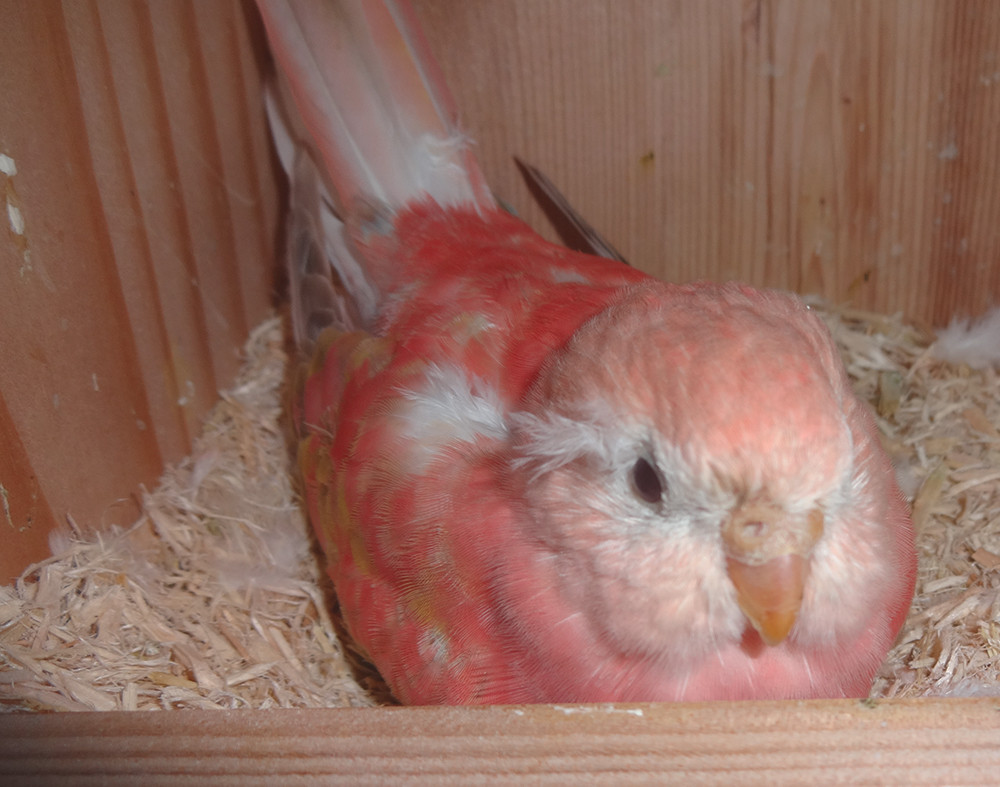 20150501_bp1.jpg