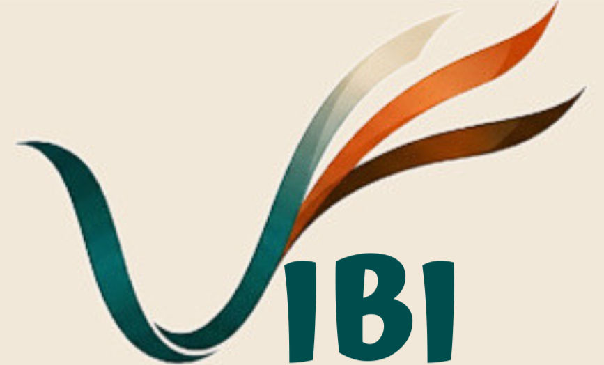 VIBI (5)_edited.jpg