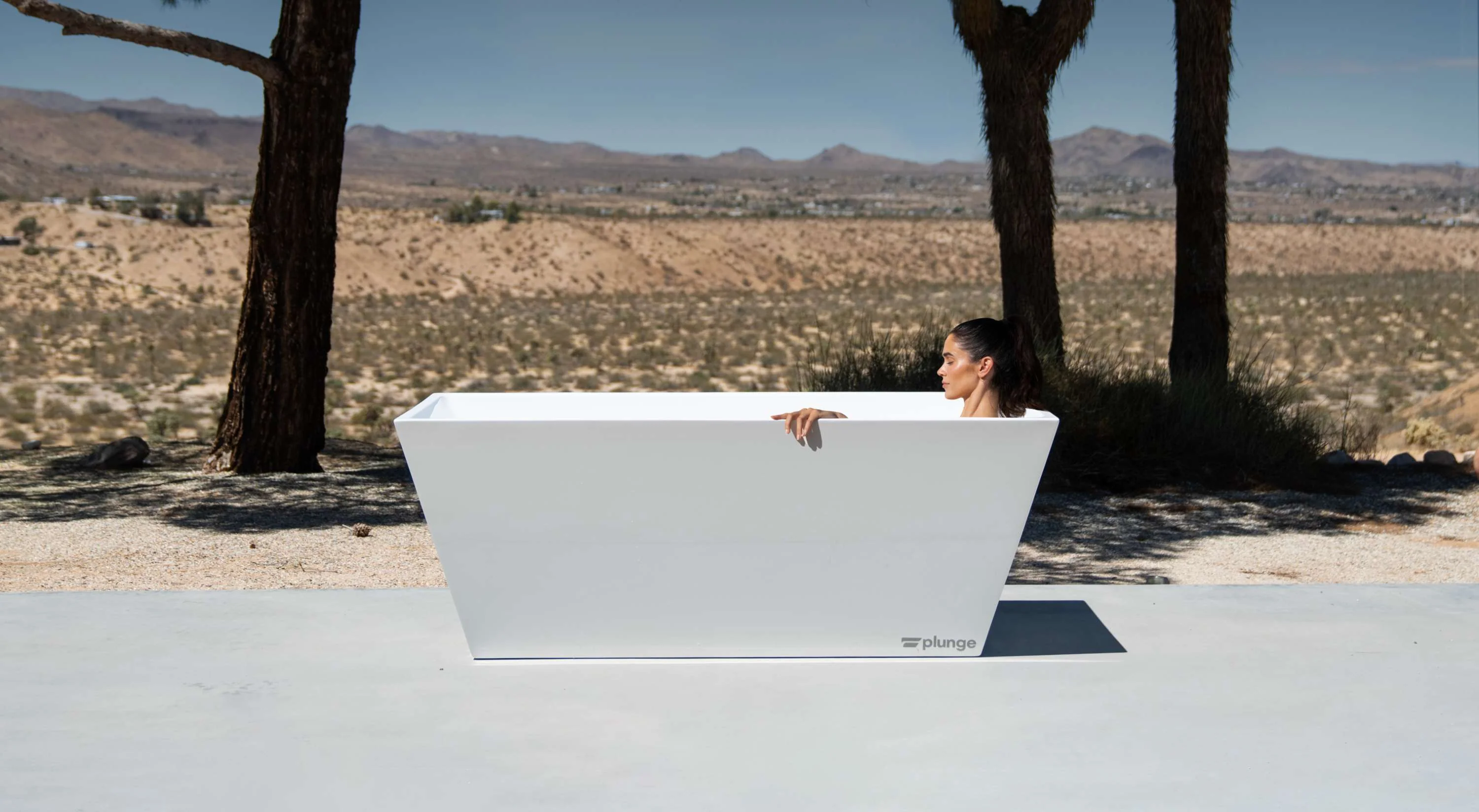 ColdPlunge.webp