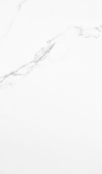 PUNE BLANCO MT 60X120.jpg