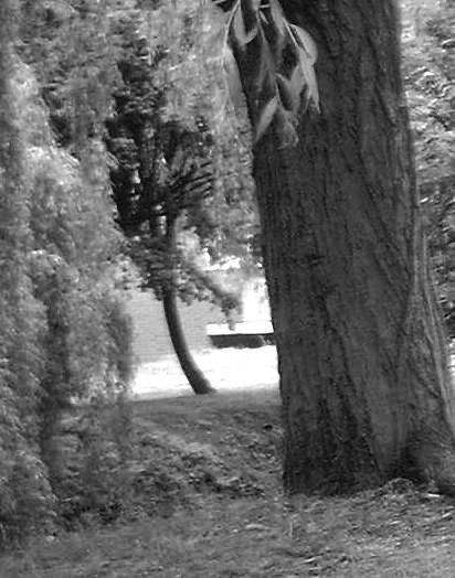 A ghostly image, Brunel University, London