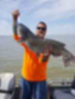 catfish