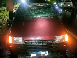 Pedestre com sinais de embriaguez é atropelado na estrada do Parque Nacional