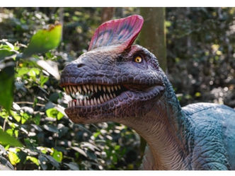 REGIÃO - Maior parque de dinossauros do mundo abre as portas, em Miguel Pereira