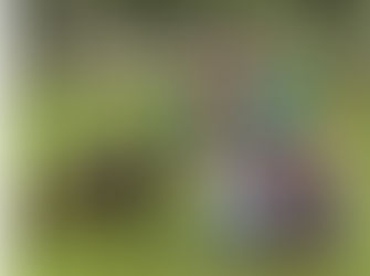 Cristina Mel lança "Meu Pet Favorito" pela Labidad Music Gospel