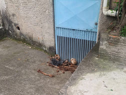 Idosa encontra ossadas humanas no portão de casa, em Resende