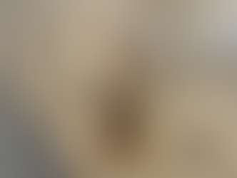 Moradores relatam aparecimento de escorpiões em condomínio no Casal Garcia, em Itatiaia