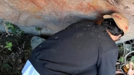 Parque Nacional:Museu Nacional integra grupo de trabalho para decifrar pinturas ruprestres