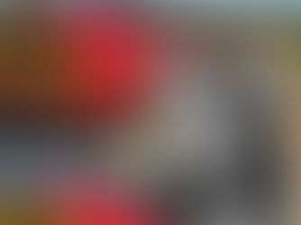 Corpo de Ana Clara é encontrado em área de mata em Barra Mansa