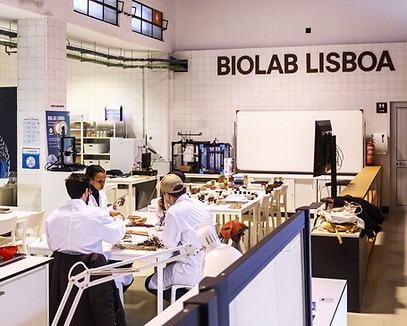 BIOLAB_LVT0797-1400x932 copy.jpg