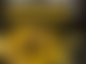 Should I Invest in BitCoin?