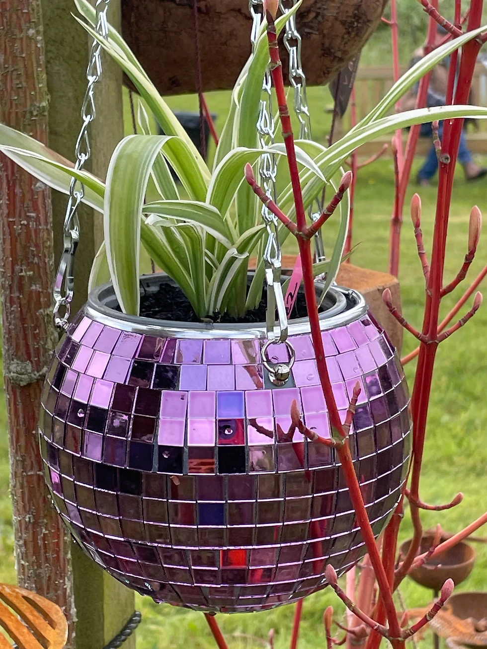 Miniature : Jardinière boule disco