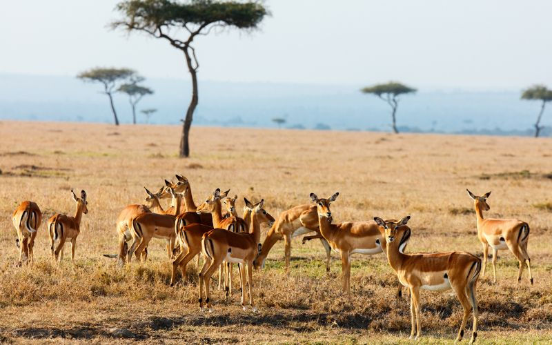 Instagrammable Places in Kenya