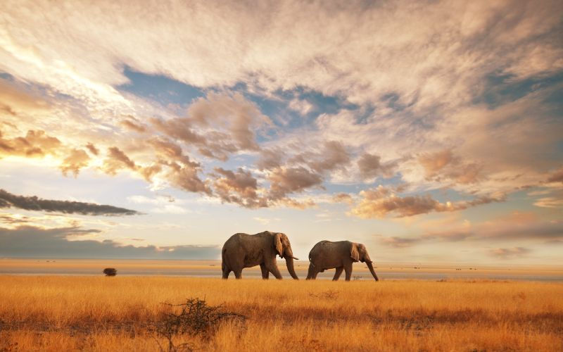 Instagrammable Places in Kenya