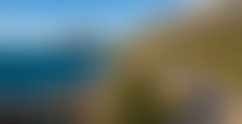 Safari Tips for First-Time Visitors to South Africa