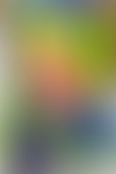 Jan 2026: Japanese Art with Ms. Melanie