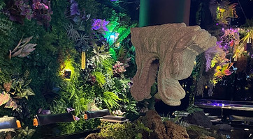 주신당 광주 내부.jpg