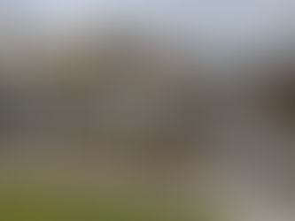 ScotPAG at Holyrood : Round Table Event