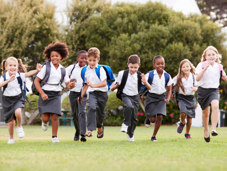 What is the impact of gender ideology on schools?