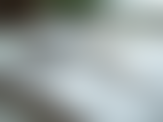 Essential Guide to Choosing Formal Shirts for Every Man's Wardrobe by Frankwil