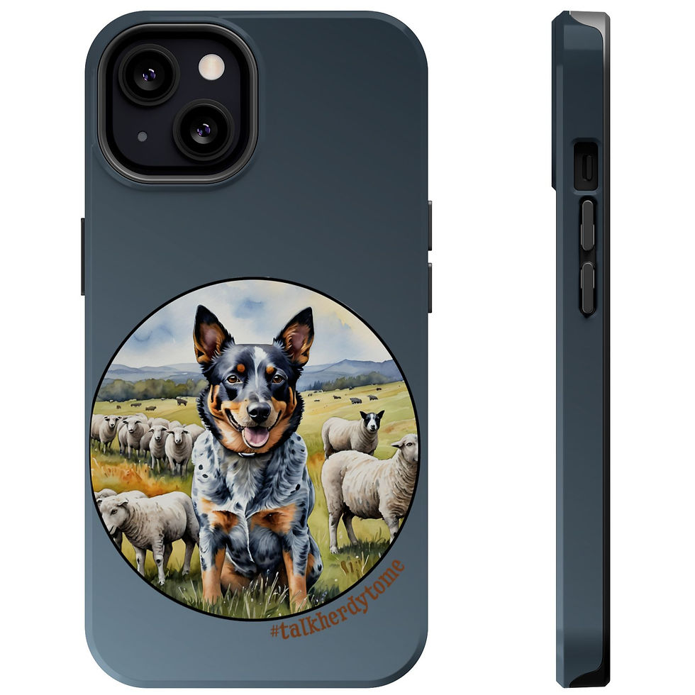 Thumbnail: A happy blue merle heeler pants confidently in front of a flock of sheep.