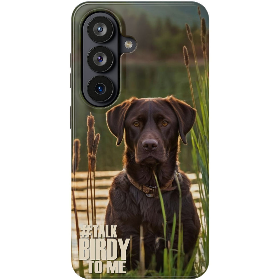 A chocolate Labrador retriever gazes forward with a bird in its mouth, set against a scenic wetland backdrop. #TalkBirdyToMe