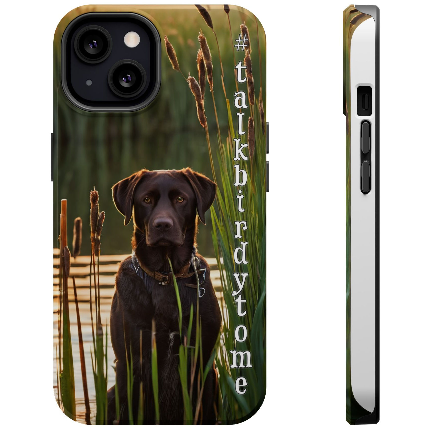 A beautiful chocolate lab peers through woods from his marshy post - just waiting on "go."