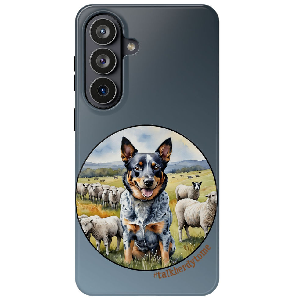 Thumbnail: A happy blue merle heeler pants confidently in front of a flock of sheep.