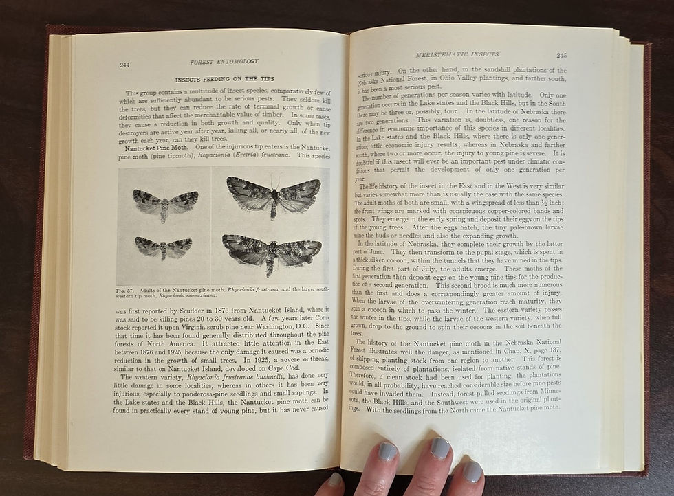 Thumbnail: Forest Entomology by Samuel Alexander Graham, 1952.