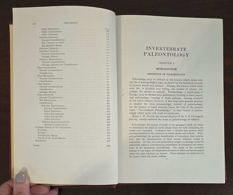 Thumbnail: Invertebrate Paleontology 1st. Ed. 1935 by Twenhofel and Shrock