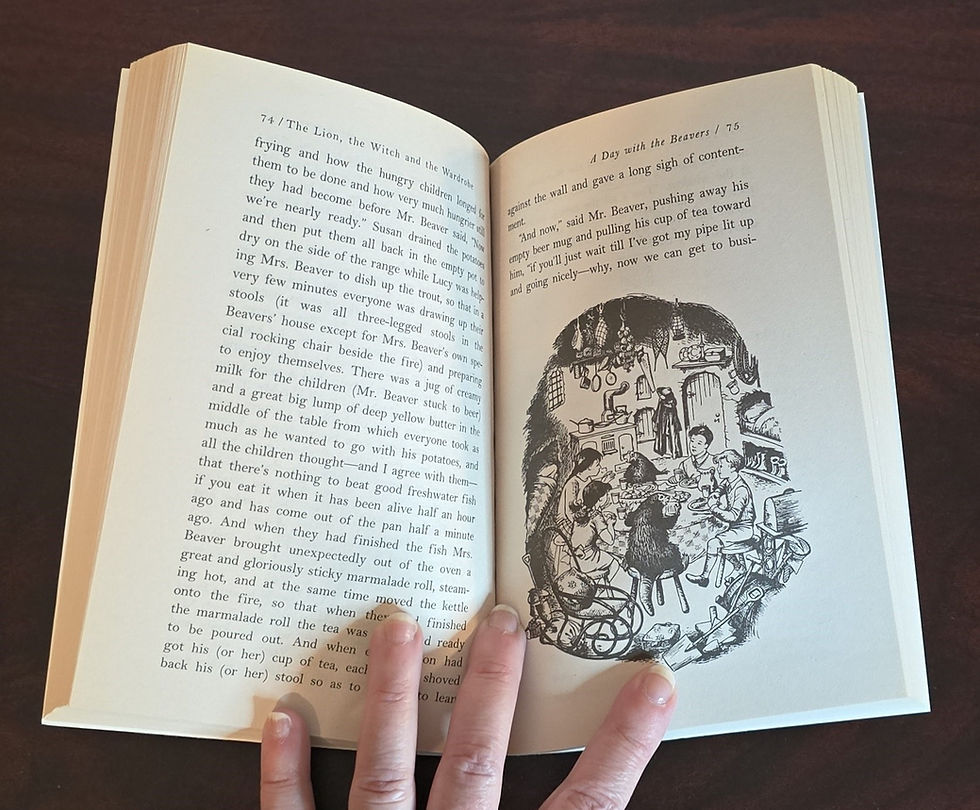 Thumbnail: The Chronicles Of Narnia, Box Set, C S Lewis, Vintage 1995, Scholastic