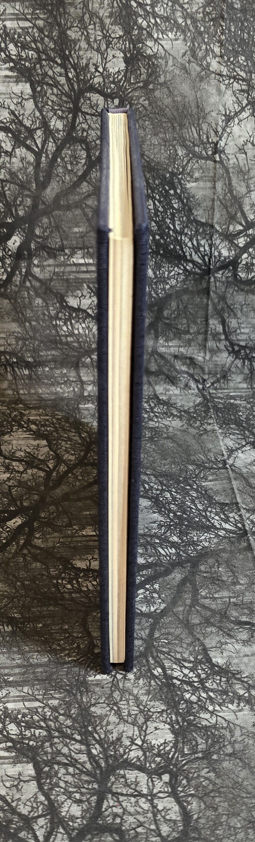 Thumbnail: Walking by Henry David Thoreau, abridged by The Nature Company, 1993