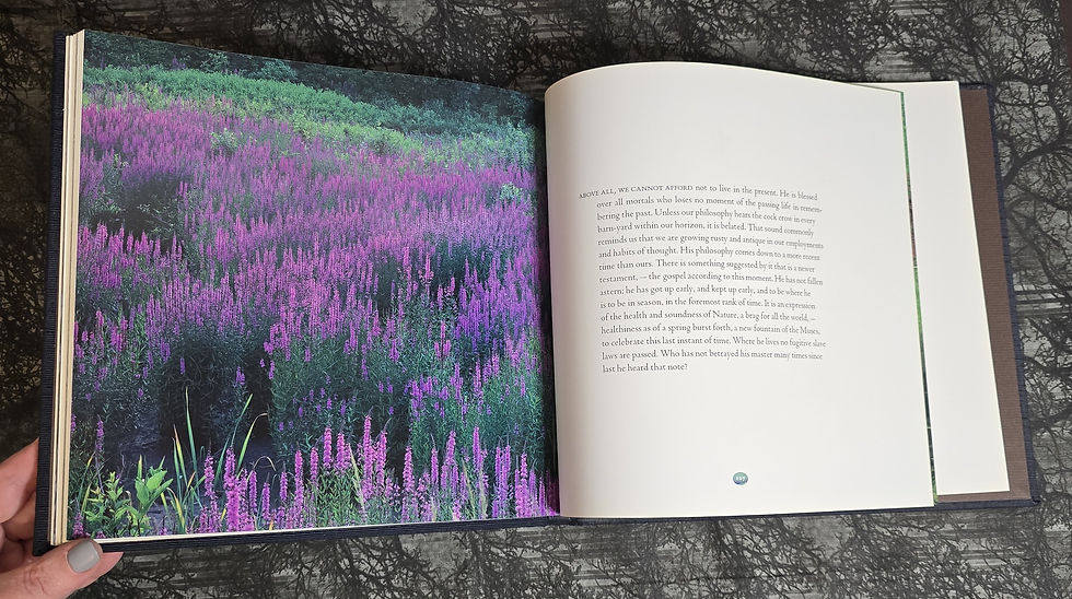 Thumbnail: Walking by Henry David Thoreau, abridged by The Nature Company, 1993