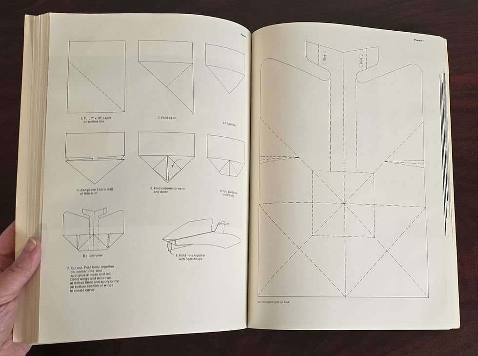 Thumbnail: The Great International Paper Airplane Book by Mander, Dippel, and Gossage 1967
