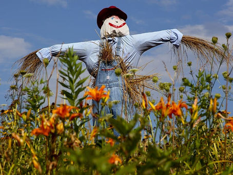 The Man Outside - 5th LCM Speech Festival Hong Kong