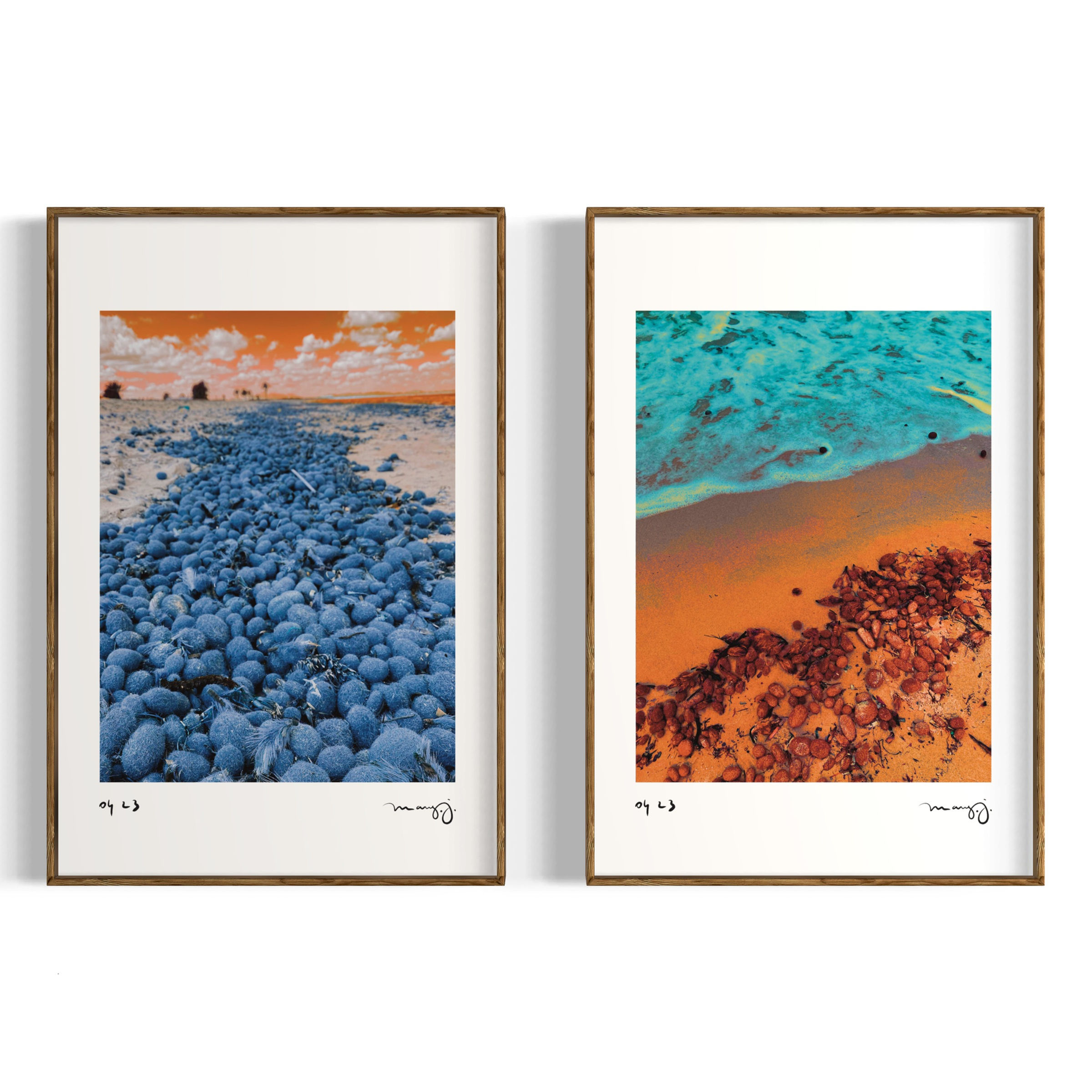 Horrea Caelia - Poster Serie