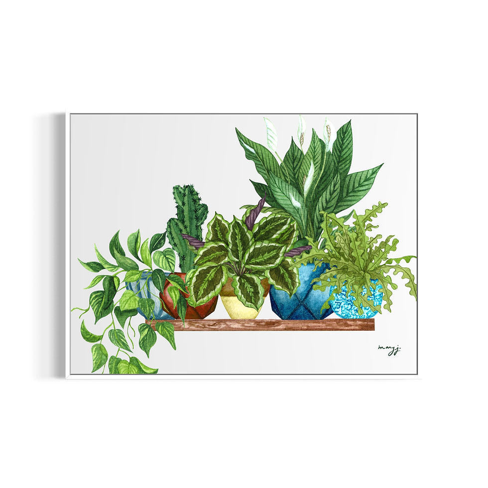 Miniature : Plantes & Pots II - Poster