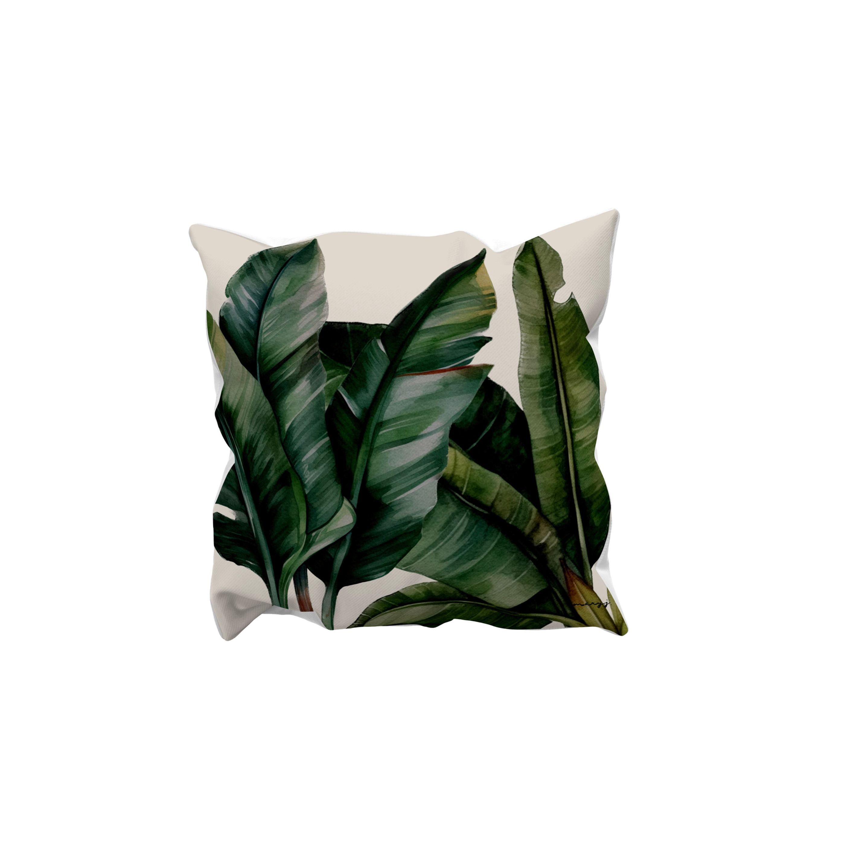 Cool Tropics