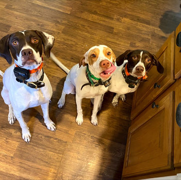 Image (15)_edited.jpg