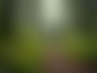 Discover Thrilling Experiences at Puls Adventures