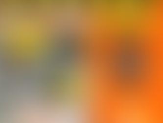 Tool Time Thursday: Smooth Moves with the Vibrating Screed