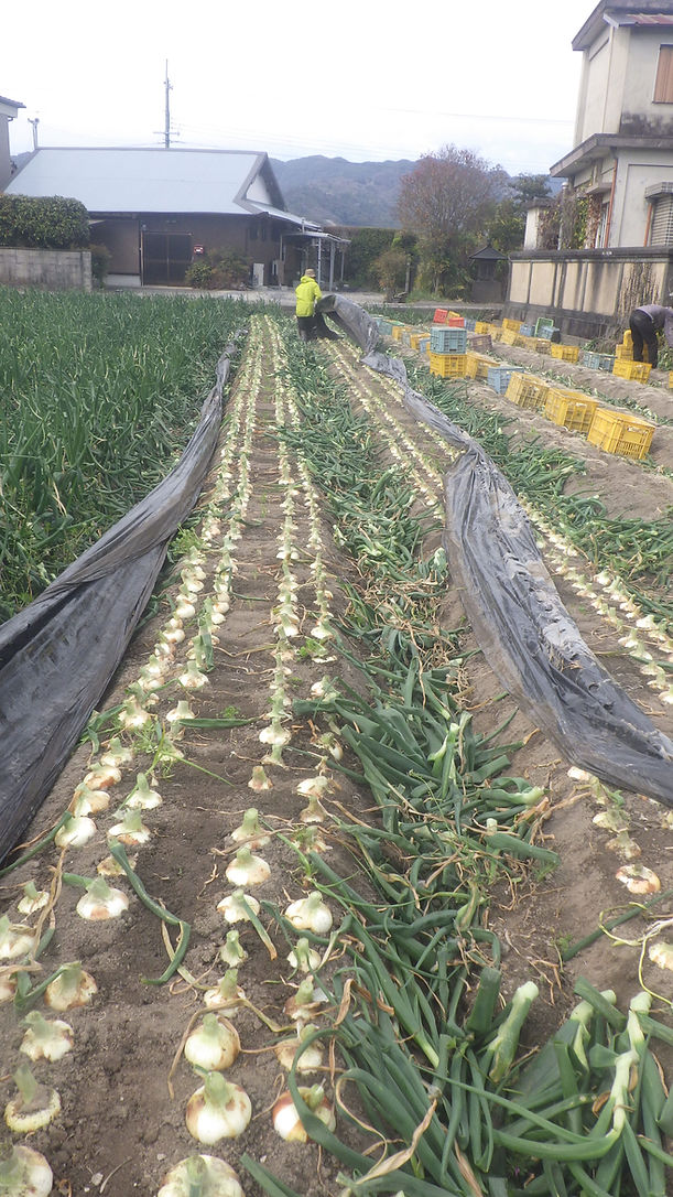 RIMG1483 (2).jpg