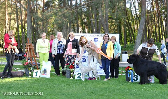 BEST IN SHOW 2 - Lana (Absoliuti Idile Electra Brilliant) _-)__I cant be more proud as breeder!!! Team 🌟ABSOLIUTI IDILE🌟 did it at _Birštona