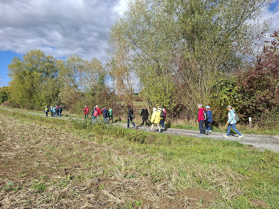 Herbstliche Wanderung (2)