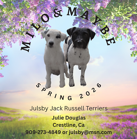 mILO & mAYBE (1).png