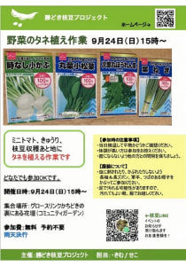 【🌱勝どき枝豆プロジェクトの種まきに参加しませんか？🌱】