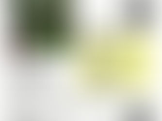 【🌱勝どき枝豆プロジェクト】イチゴ🍓の苗をうえる会＠勝どきファーム