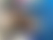 マカロンクラブ体験会のお知らせ