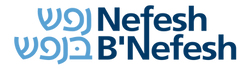 NBN Logo